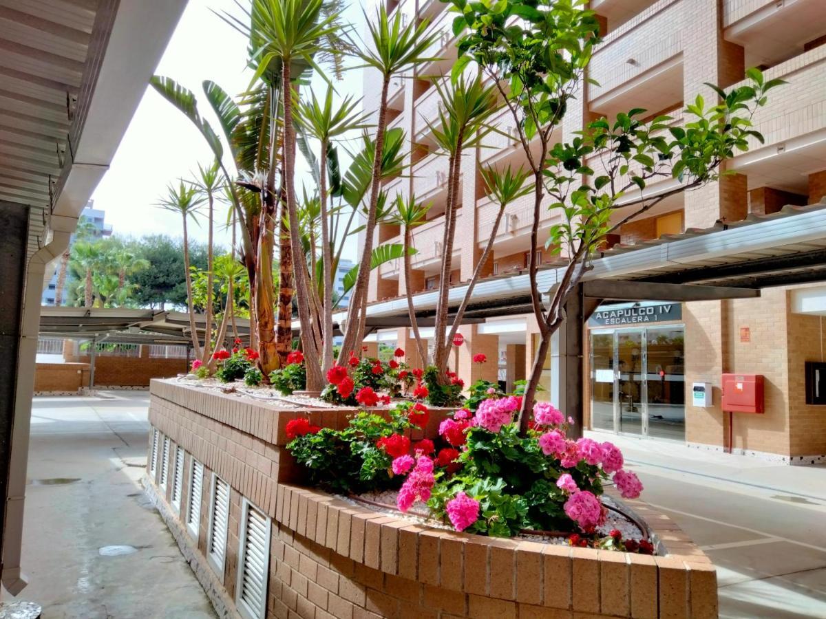 Apartment Acv - Acapulco Iv-1ª Linea Planta 1 Sur-3 Oropesa del Mar